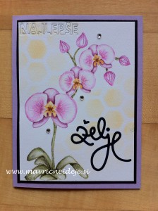 najlepsipar orhideja