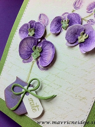 Najlepši par orhideja vijola