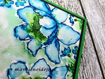 5 Spectrum Noir Sparkle akvarelna tehnika