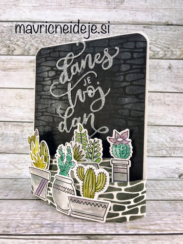 kaktusi - danes je tvoj dan