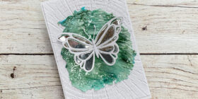 Najlepši-par-metulj