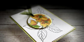 Spotlight-barvna-temna