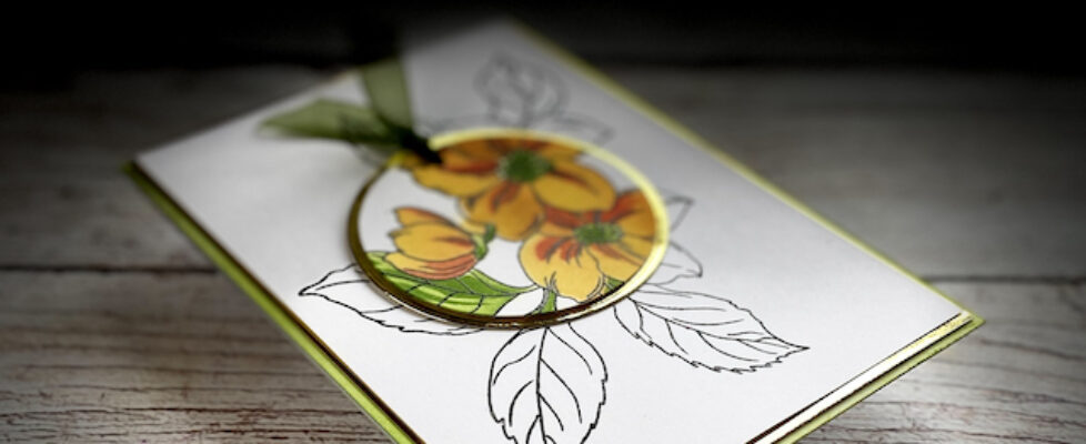 Spotlight-barvna-temna