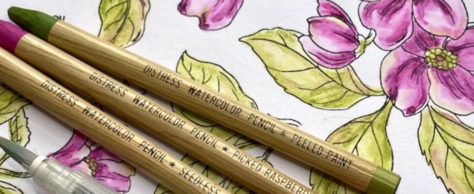 peeled-paint-picked-raspberry-seedless-preserves-