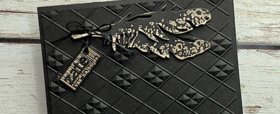 1.11.-23-TMR-faethers