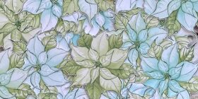 Alex-Syberia-Festive-Poinsettia-flowers-1-1