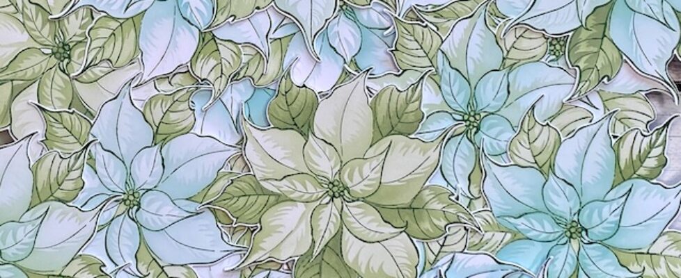 Alex-Syberia-Festive-Poinsettia-flowers-1-1