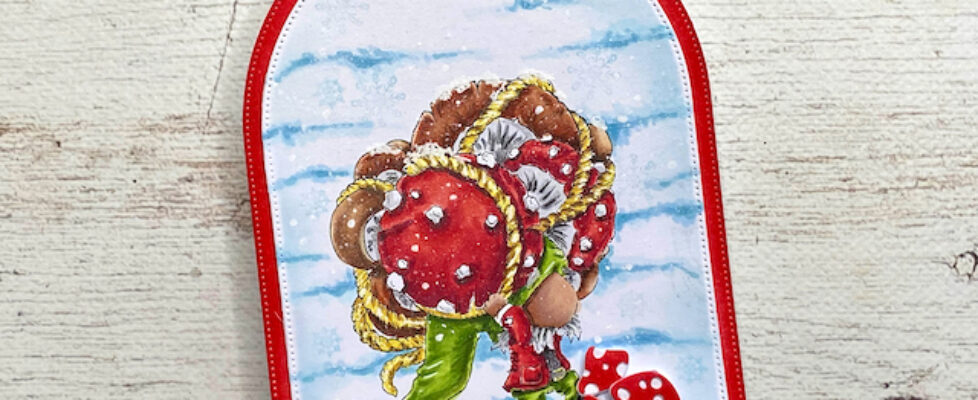 17.2.24-52-cct-mushrooms-1-1