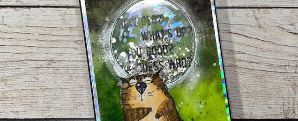 TMR-3.7.24-animals-1