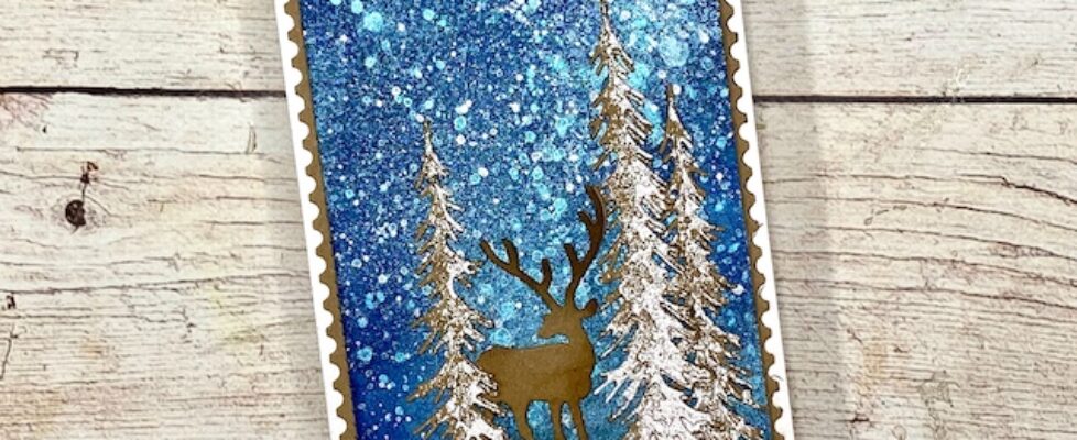 10th-52CCT24-30.-Kraft-white-blue-copy-1