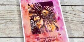 Stampers-anonymous-bold-botanicals-cms642-1