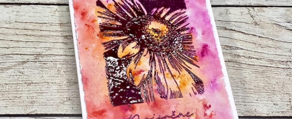 Stampers-anonymous-bold-botanicals-cms642-1