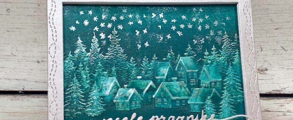 52 cct embosirana vasica