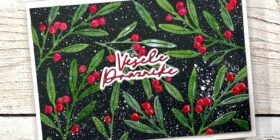 Najlepši-par-diši-po-praznikih-vejice-1