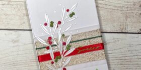 52-cct-ribbon-23.11.24-copy-1