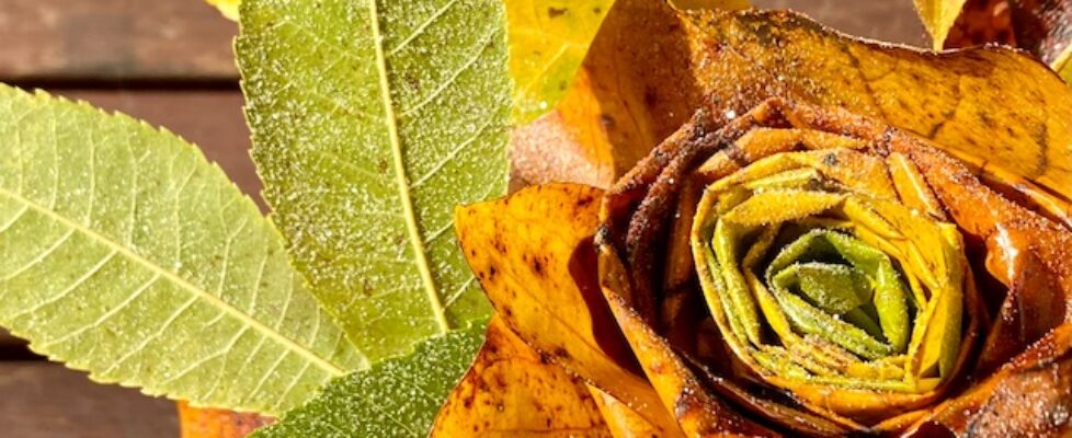 vrtnica-iz-odpadlega-listja-1