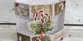 25th-52CCT25-4-TECHNIQUE-FUSSY-CUTTING-copy