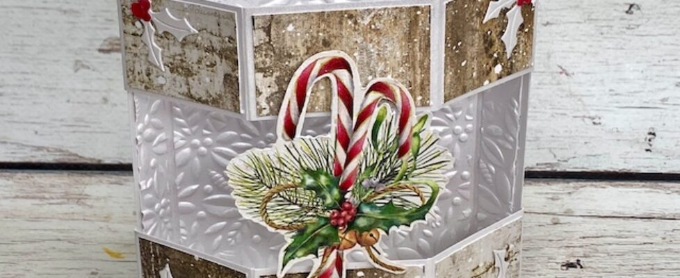 25th-52CCT25-4-TECHNIQUE-FUSSY-CUTTING-copy