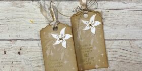 bela-božična-zvezda-na-tagu