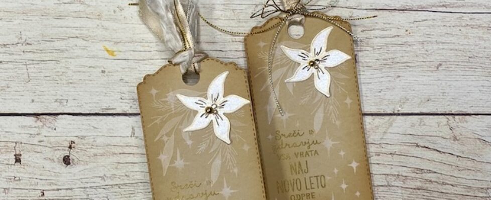 bela-božična-zvezda-na-tagu