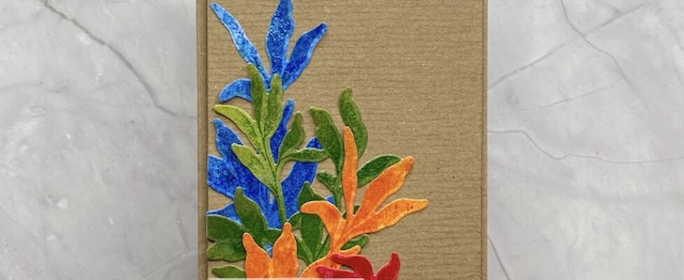 6-28.2.25-Aletenw-leaf-clusters-1