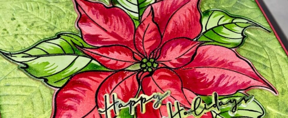 rdeča-božična-zvezda